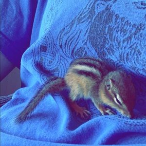 Meet your Posher, Ava